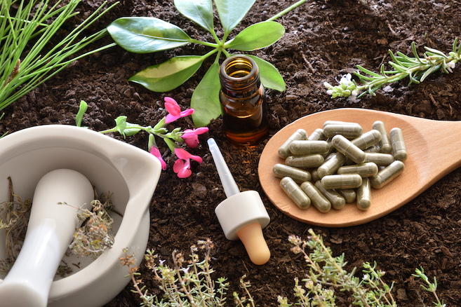 Various herbs and capsules displayed on a neutral background with plants