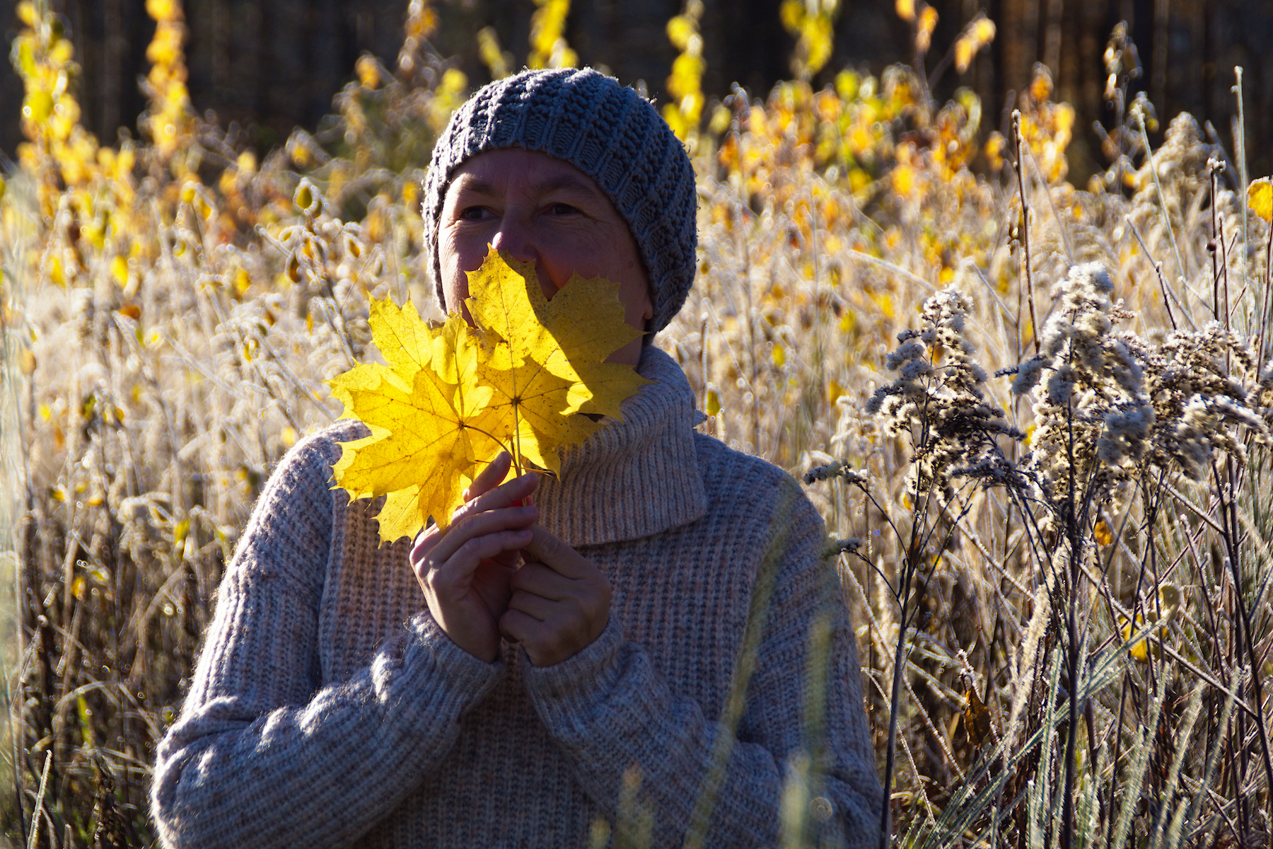 Woman in wheat field holding yellow leaf