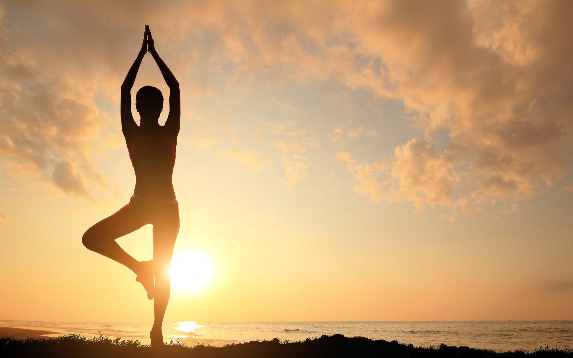 KeralaAyurveda_Connecting Ayurveda and Yoga to Create the Ideal Practice_3