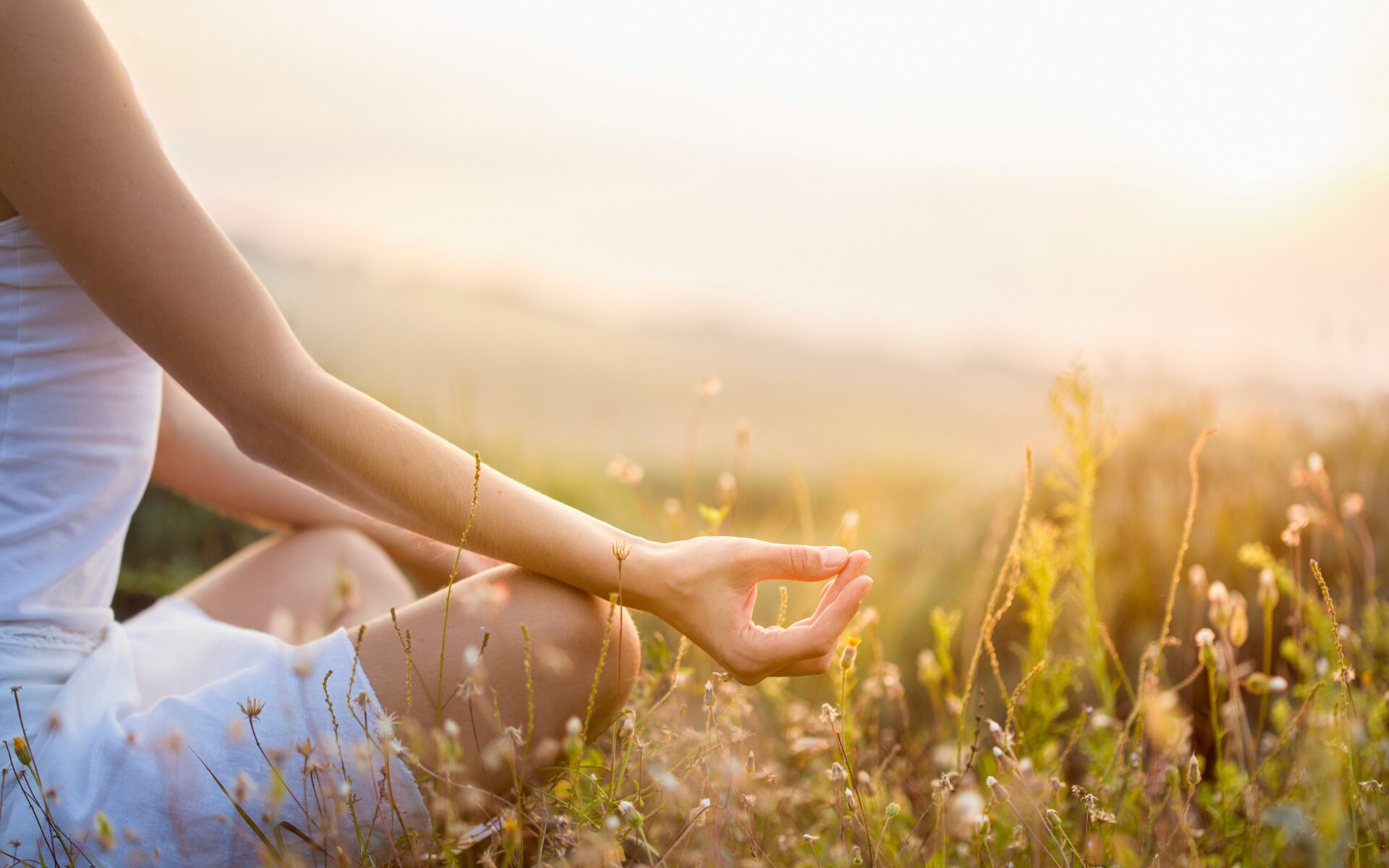 KeralaAyurveda_Connecting Ayurveda and Yoga to Create the Ideal Practice_6