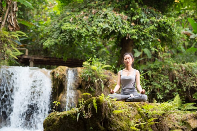 Ashtanga Hridayam Recordings - Kerala Ayurveda Academy