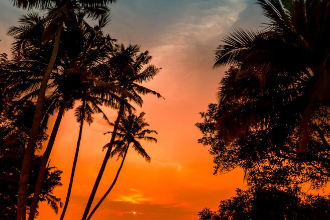 India immersion webinar 2026