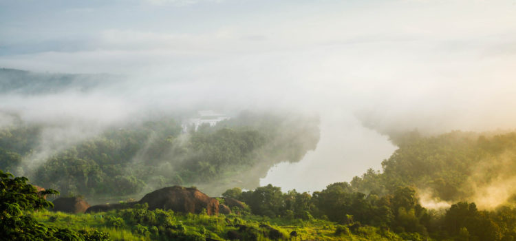 Foggy green Kerala landscapr