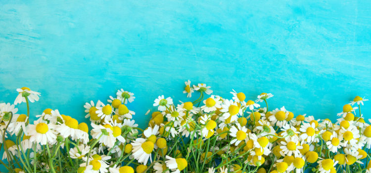 Free Webinar: The Ayurvedic Approach to Spring Cleansing